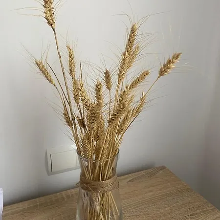 Saborea דירה *